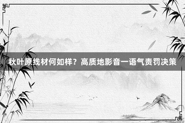秋叶原线材何如样？高质地影音一语气责罚决策