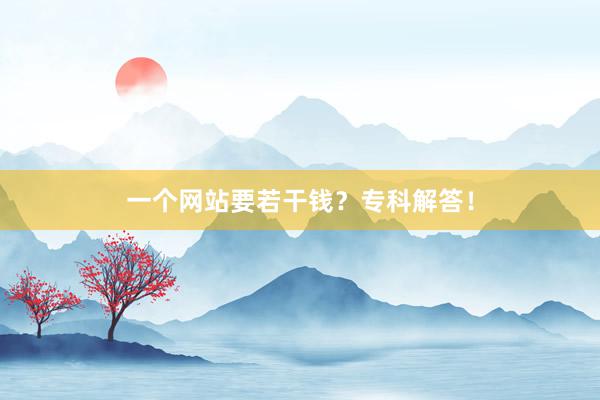 一个网站要若干钱？专科解答！